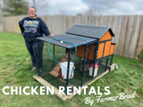 Chicken Rental Packages